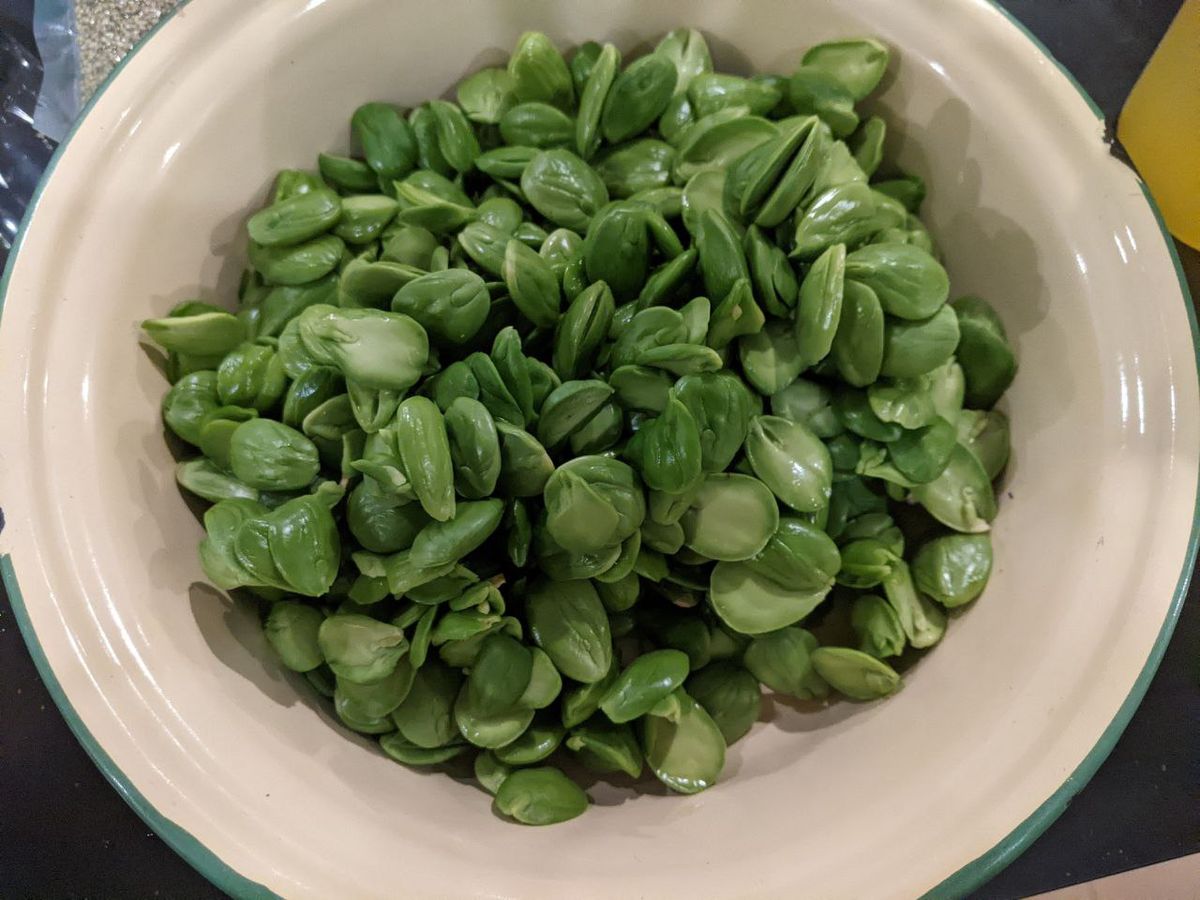 A green-rimmed yellow enameled bowl filled with petai pods.