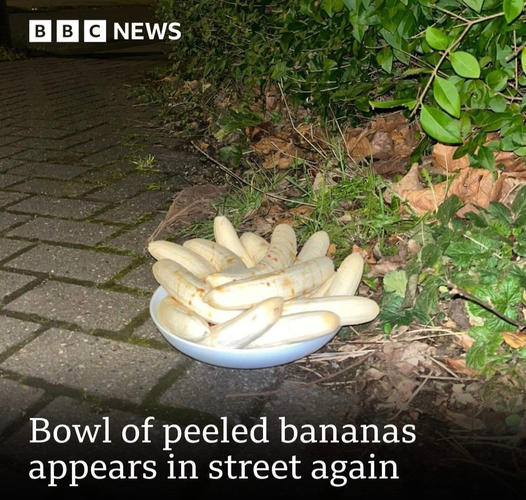 Peeled bananas in a bowl on the sidewalk.